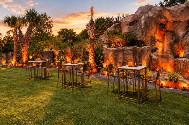 Award-Winning Halloween Party Rentals, Local Service